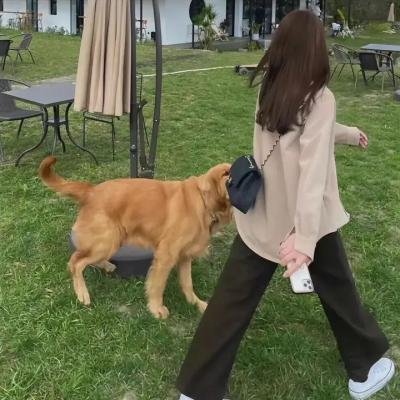 爱你们的希尔德